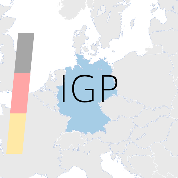 IGP Beratung